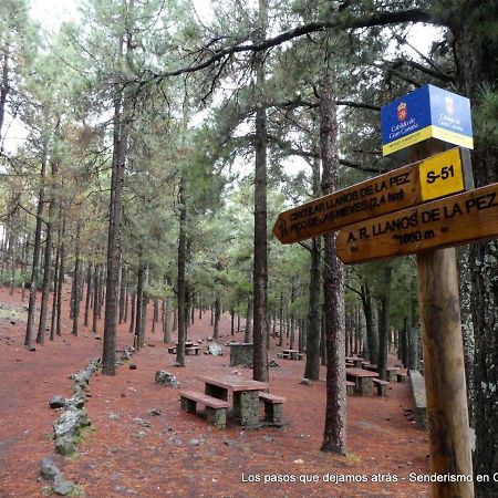 Canarias. Islas Afortunadas Las Palmas de Gran Canaria Eksteriør bilde